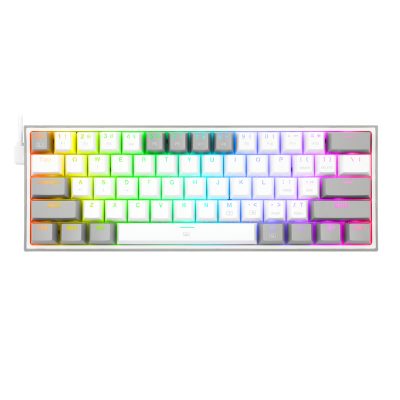 Redragon K617 FIZZ 60% Wired RGB Gaming Keyboard-White/Grey
